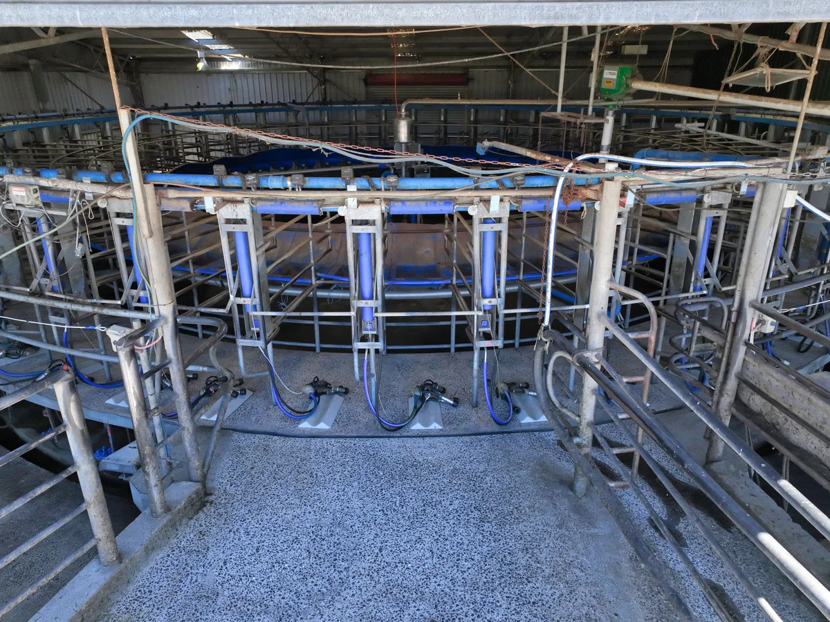 Additional image 15 of 569 St Columba Falls Road, Pyengana TAS 7216