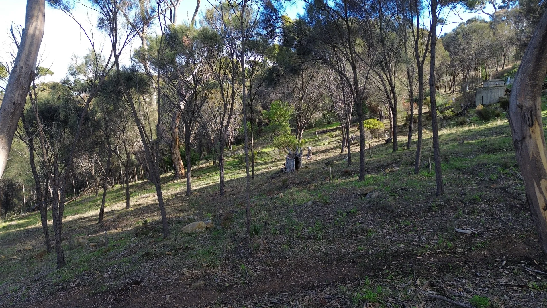 Additional image 6 of 49-51 Falie Court, American River SA 5221