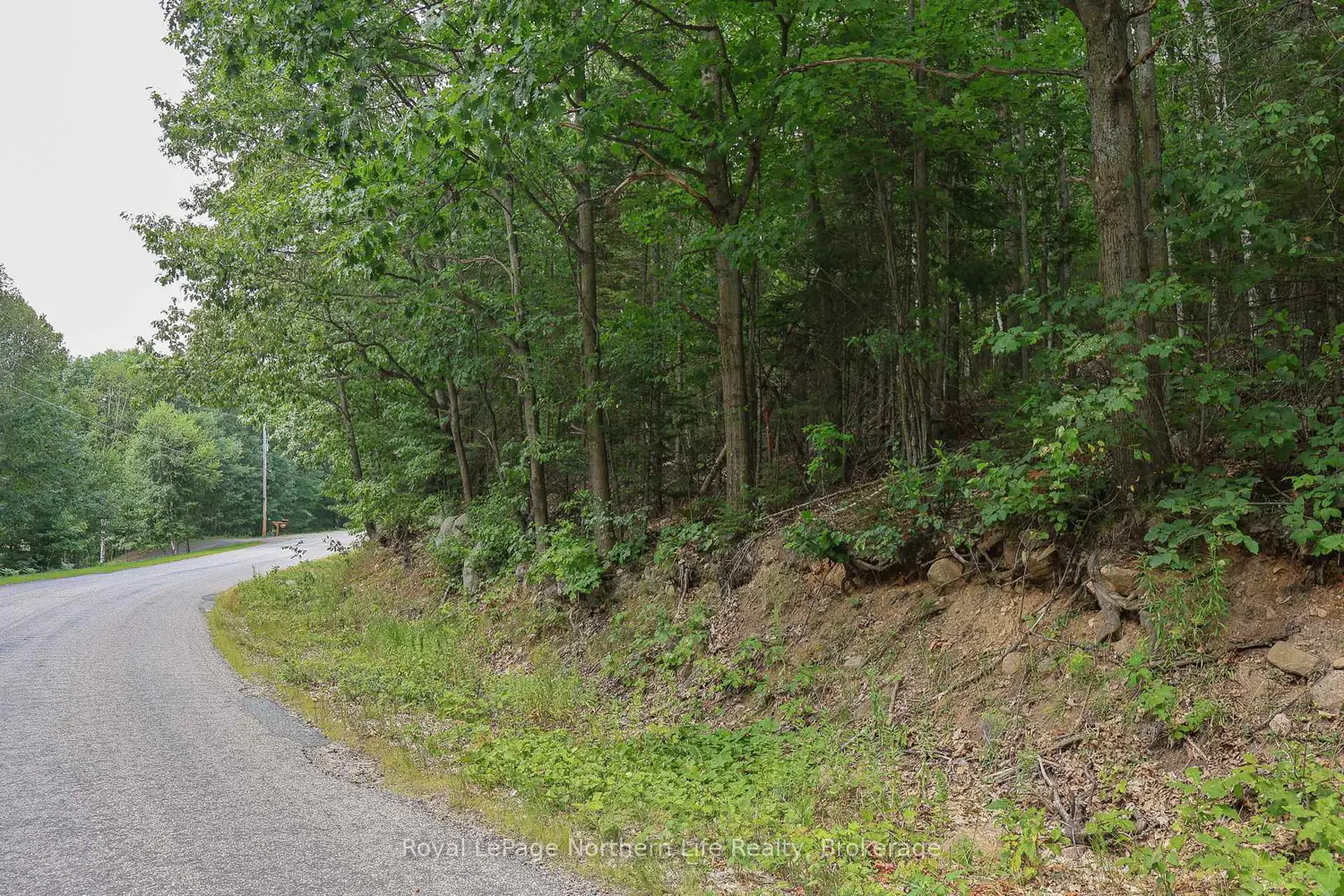 Additional image 6 of Lot 12 South Shore Road