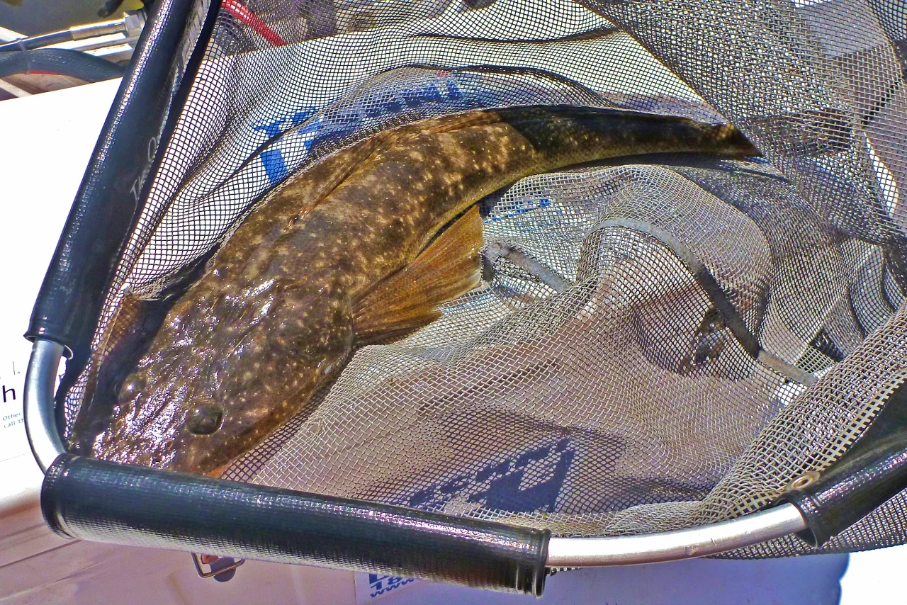 Additional image 33 of 59B Burgess Track, Wallagaraugh, Genoa VIC 3891