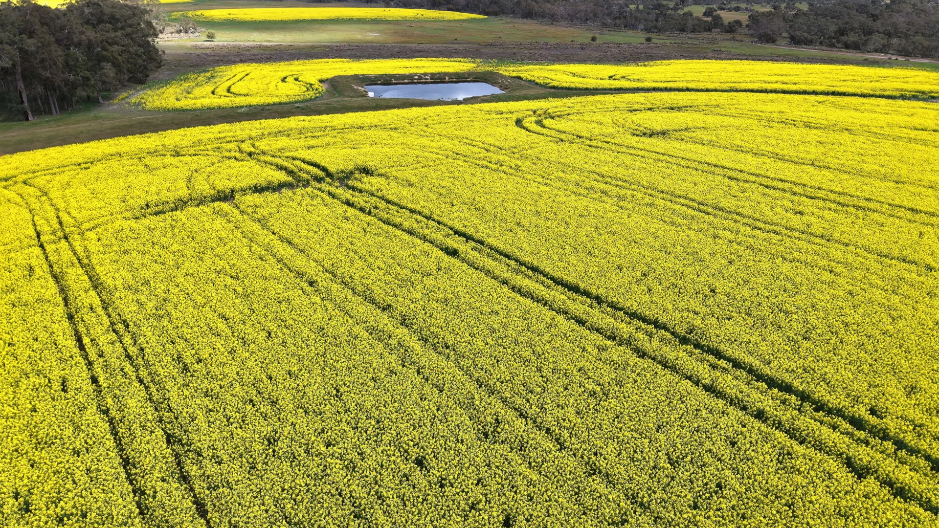 Additional image 5 of 171 Kwornicup Road, Forest Hill WA 6324