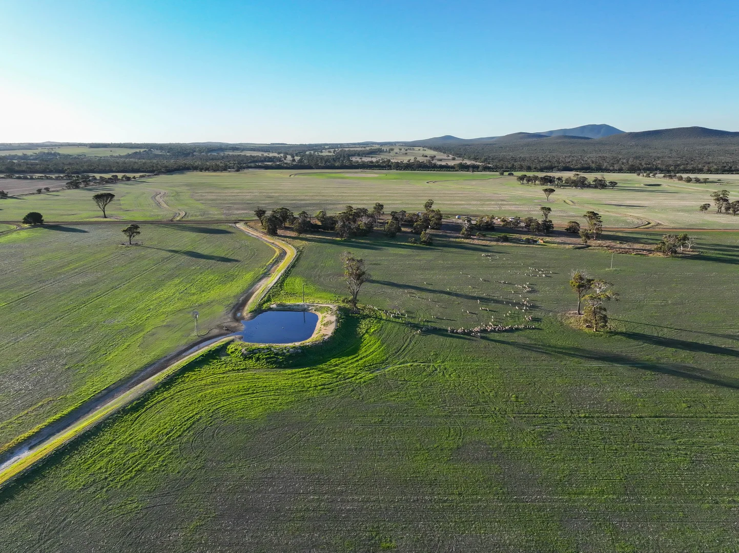 Additional image 8 of 712 View Range Road, Kendenup WA 6323
