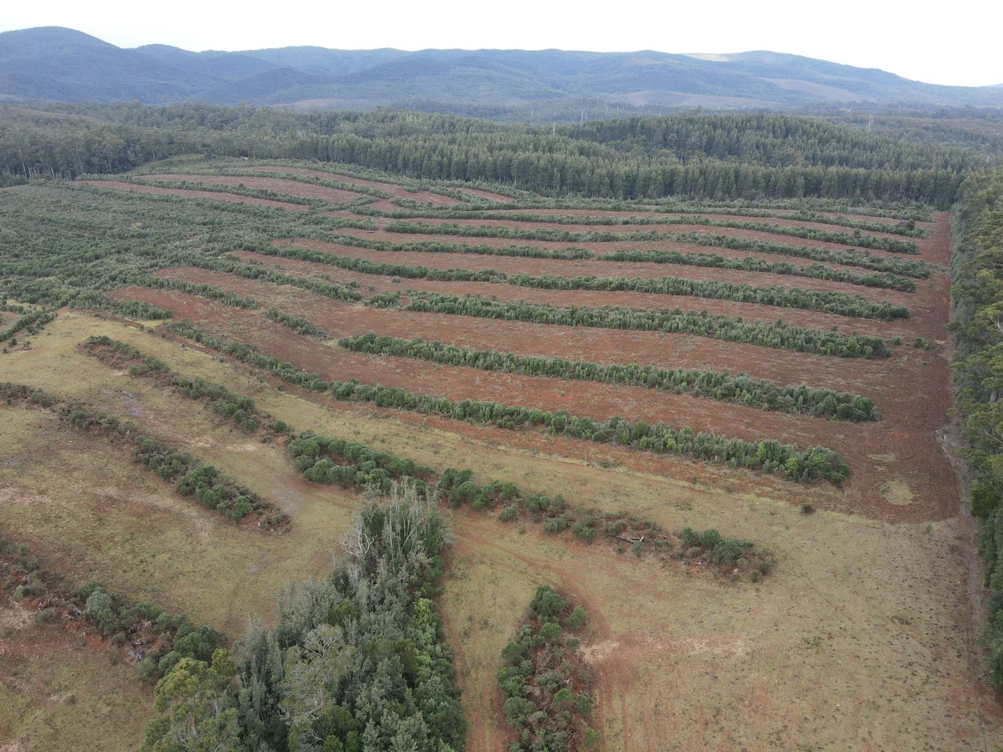 Additional image 6 of 885 Newhaven Road, Mawbanna TAS 7321