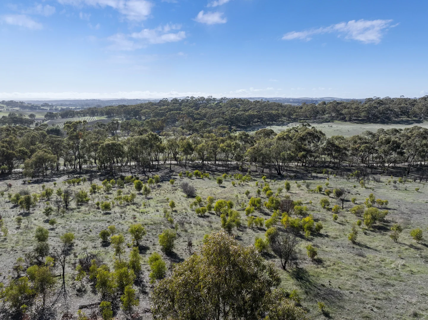 Additional image 3 of Lot 102 Benbournie Road, Armagh SA 5453