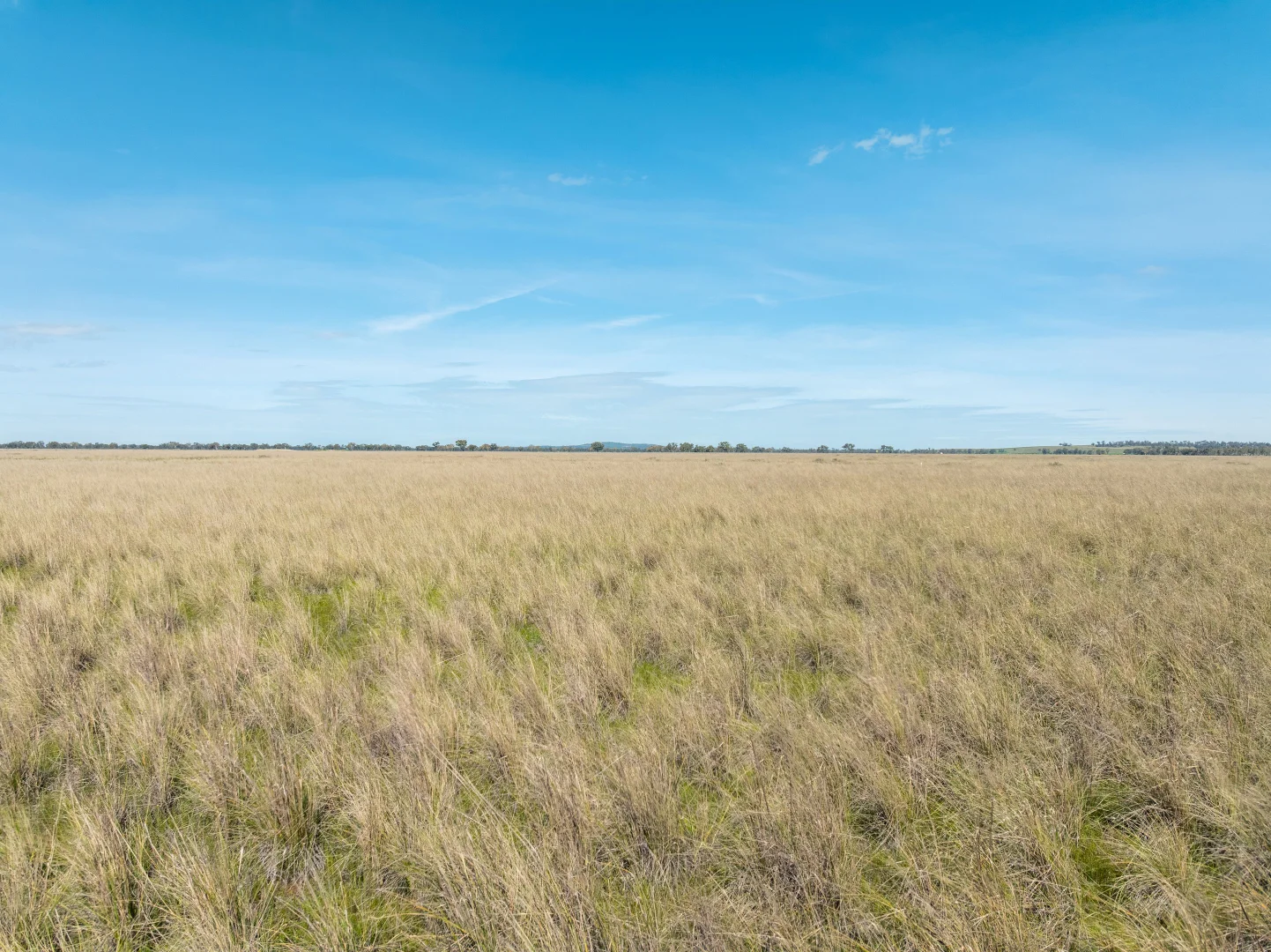 Additional image 24 of 90 Kilnyana Road, Savernake NSW 2646