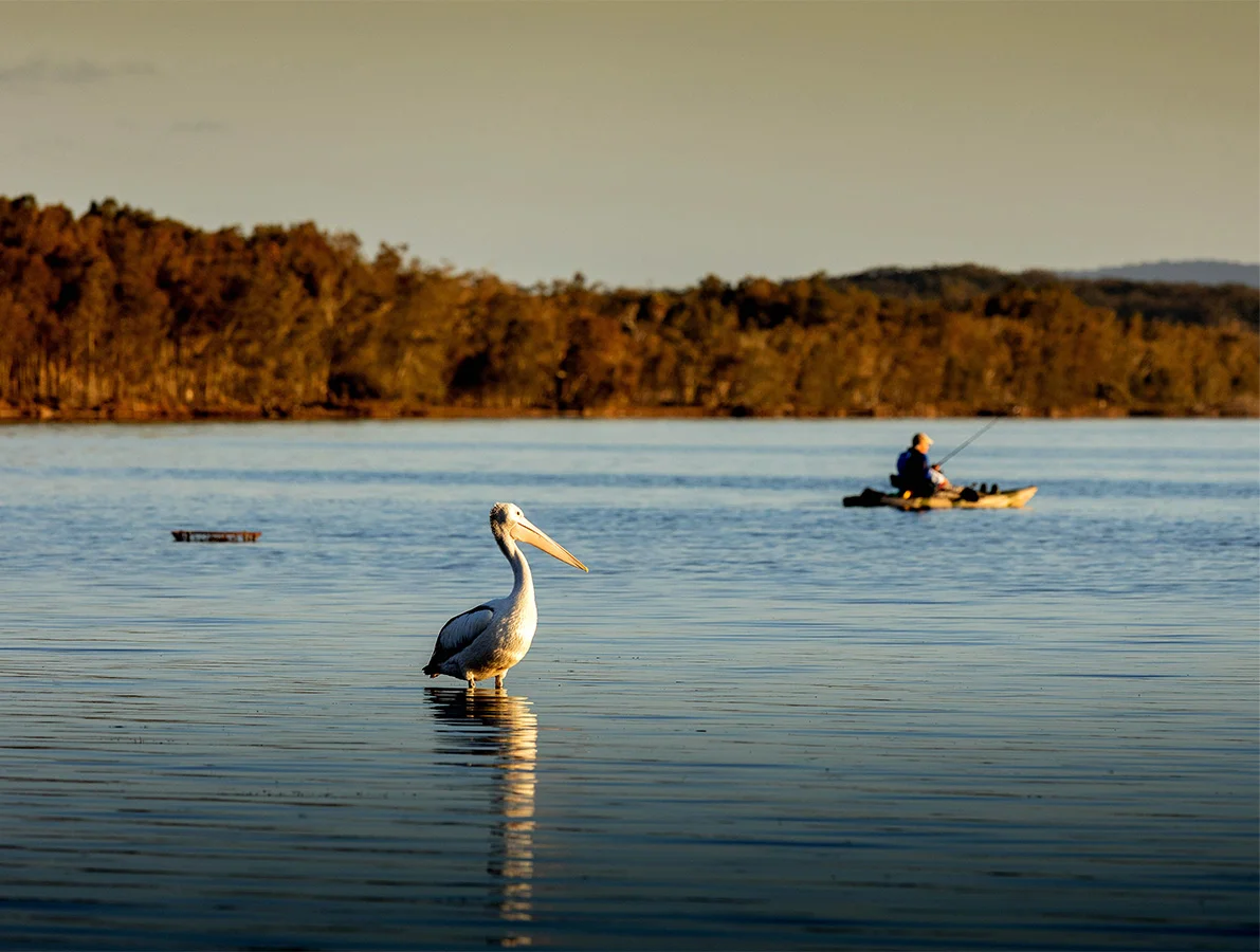 Additional image 13 of C5/13 Tea Tree Road, Forster NSW 2428