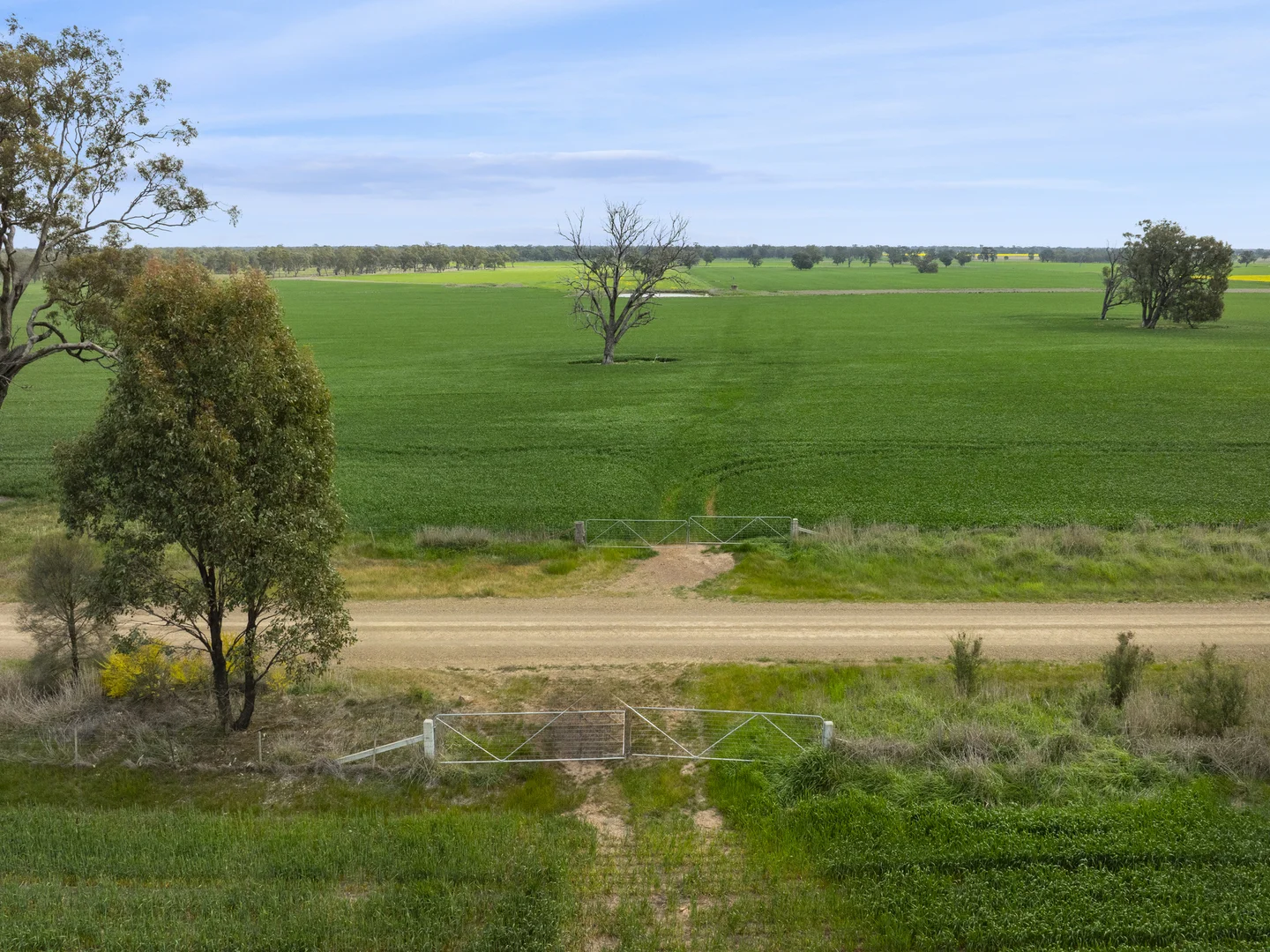Additional image 15 of 800 Bridge Road, Caniambo VIC 3630