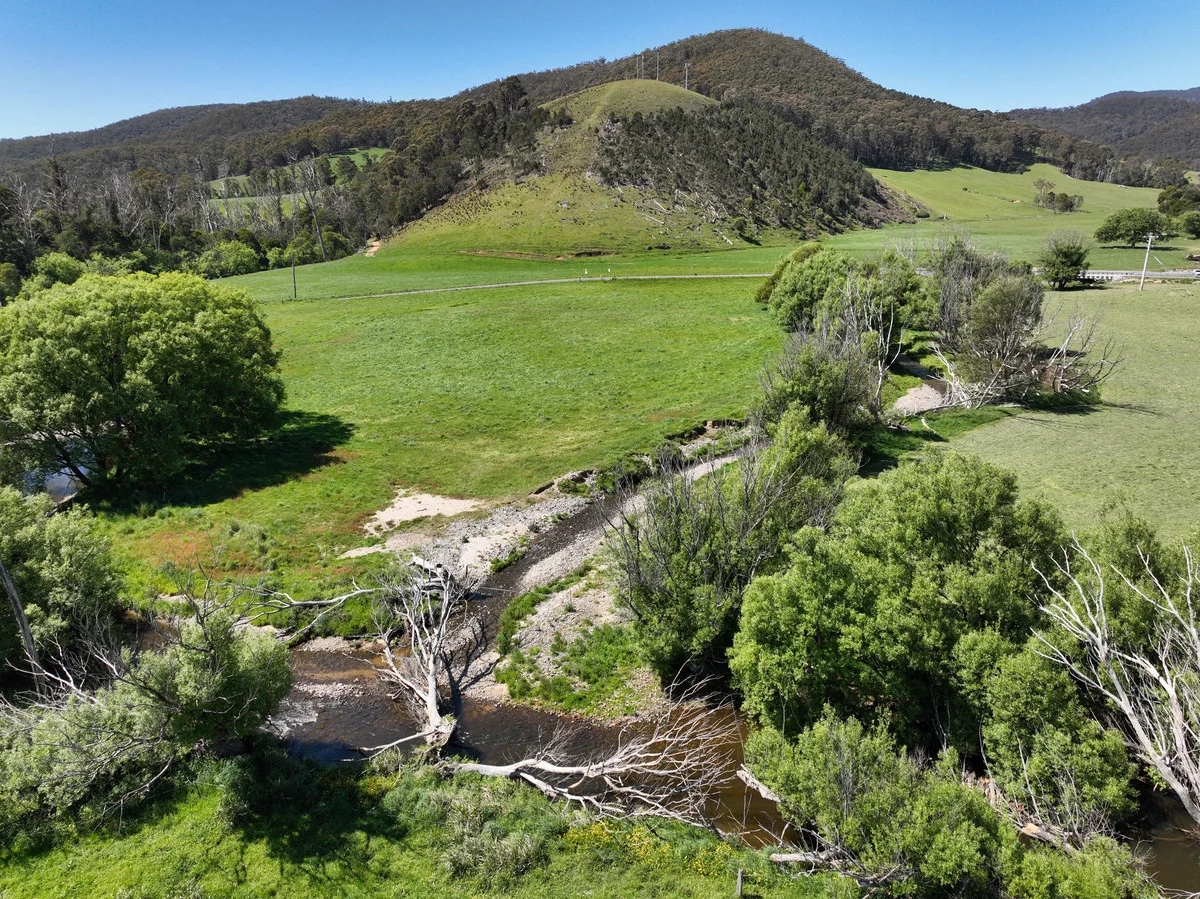 Additional image 28 of 569 St Columba Falls Road, Pyengana TAS 7216