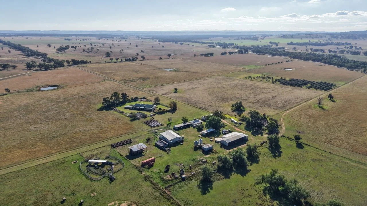 3761 Neilrex Road, Neilrex NSW 2831