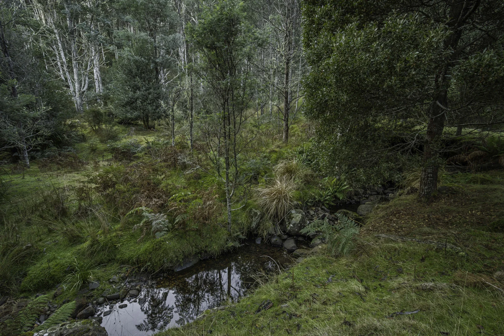 Additional image 26 of Judbury TAS 7109