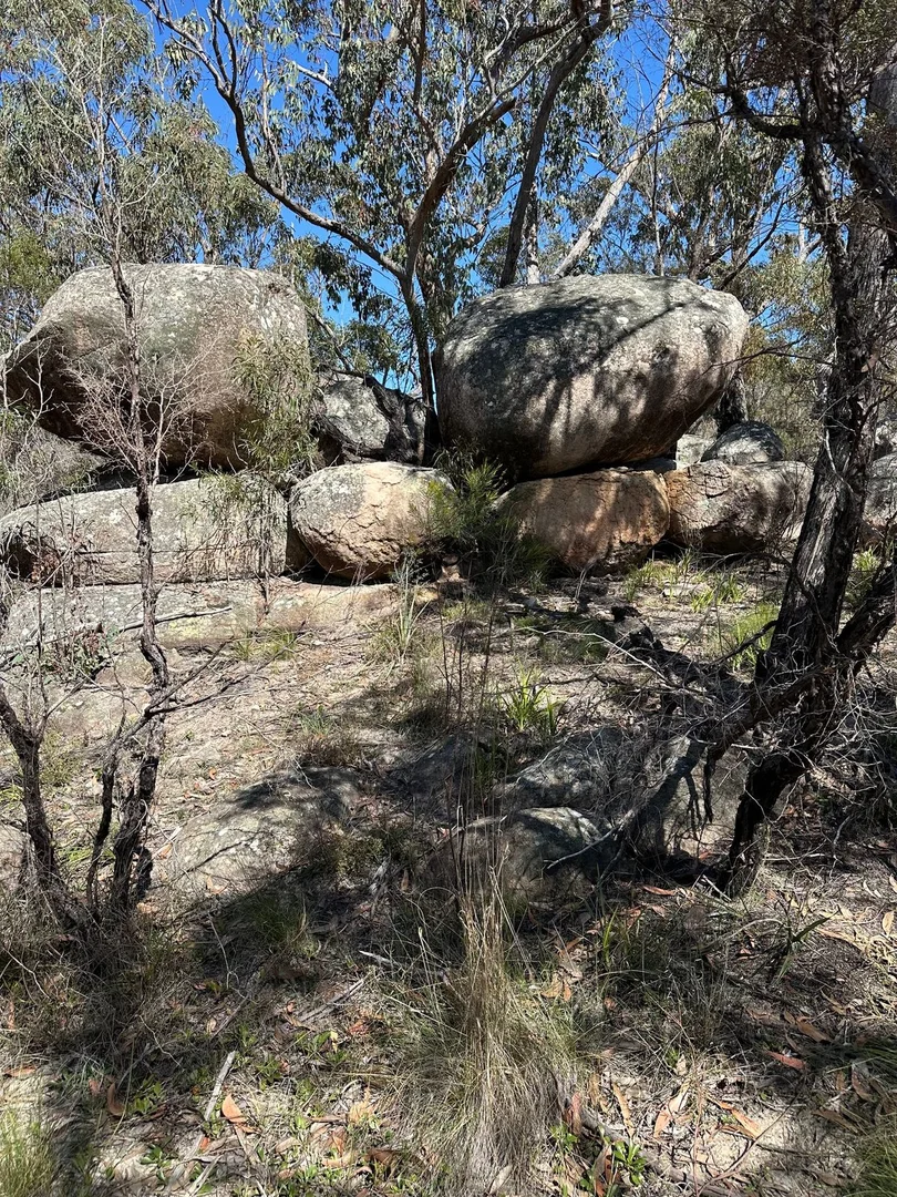 Additional image 17 of Lot 1 Brusharbers Road, Tenterfield NSW 2372