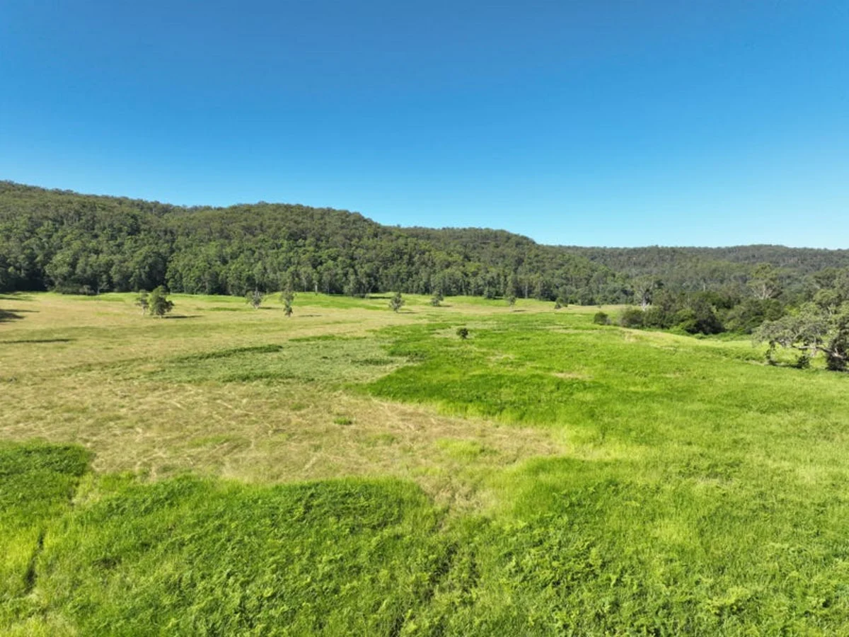 Additional image 8 of 2374 Upper Mongogarie Road, Upper Mongogarie NSW 2470