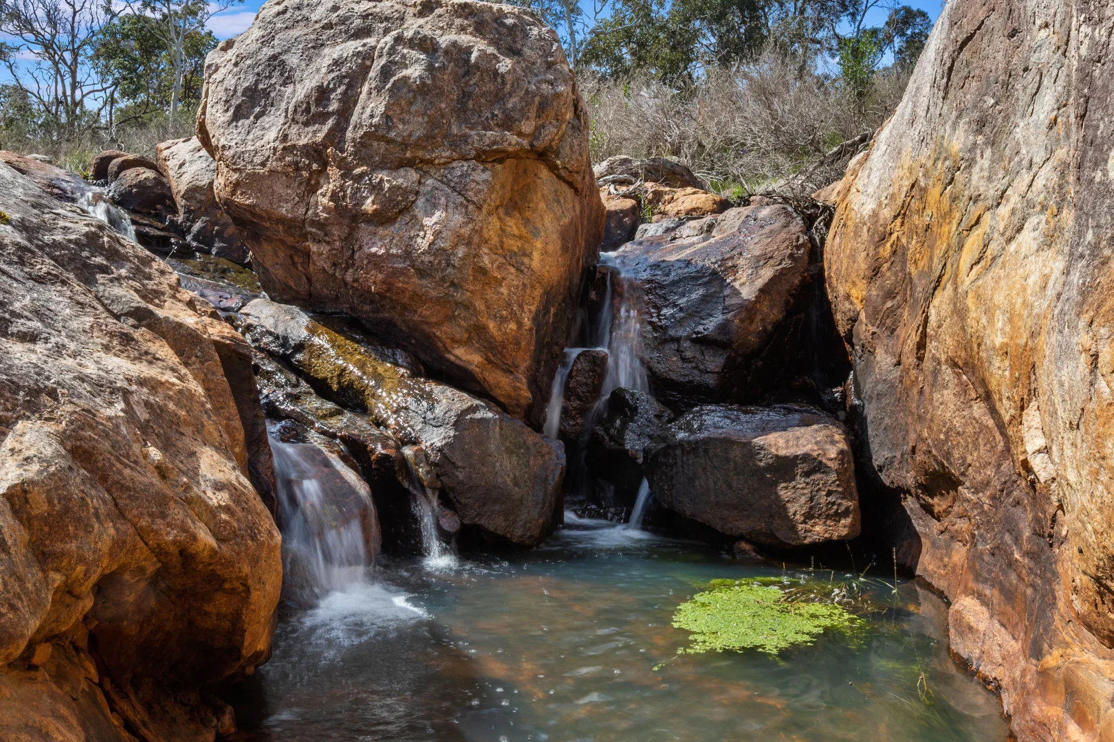 Additional image 9 of North Dandalup WA 6207