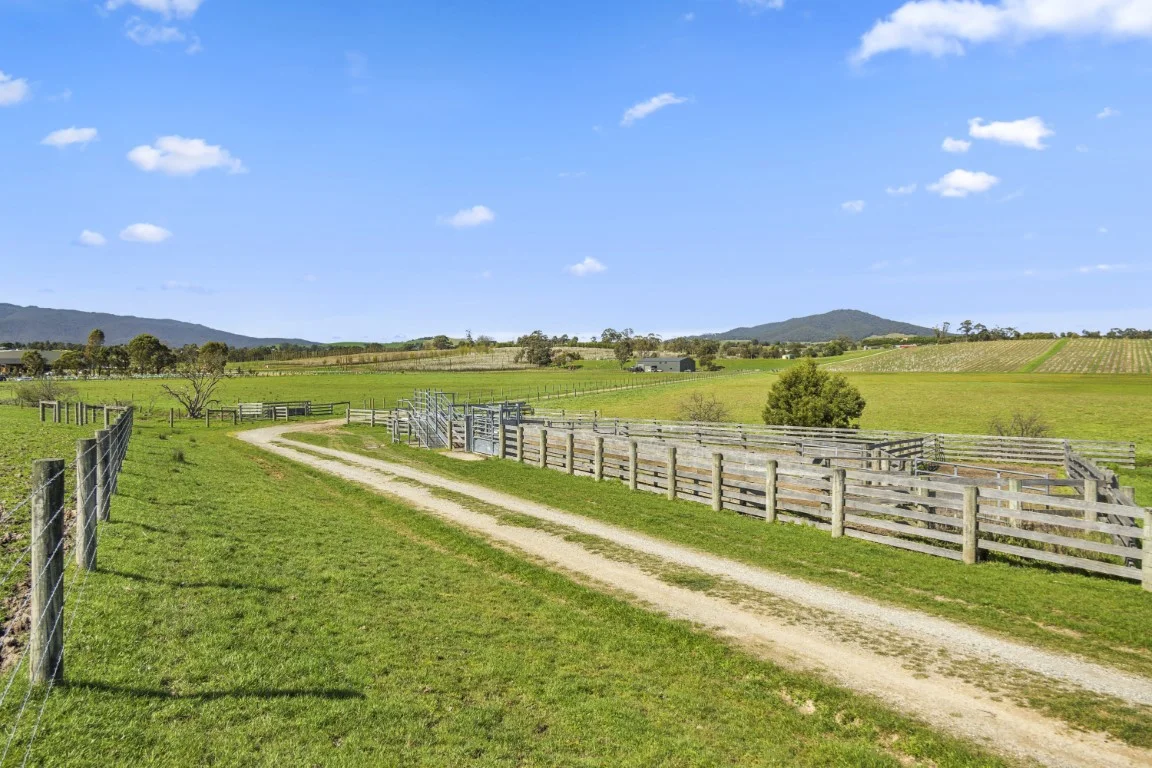 Additional image 7 of 737 Maroondah Highway, Coldstream VIC 3770