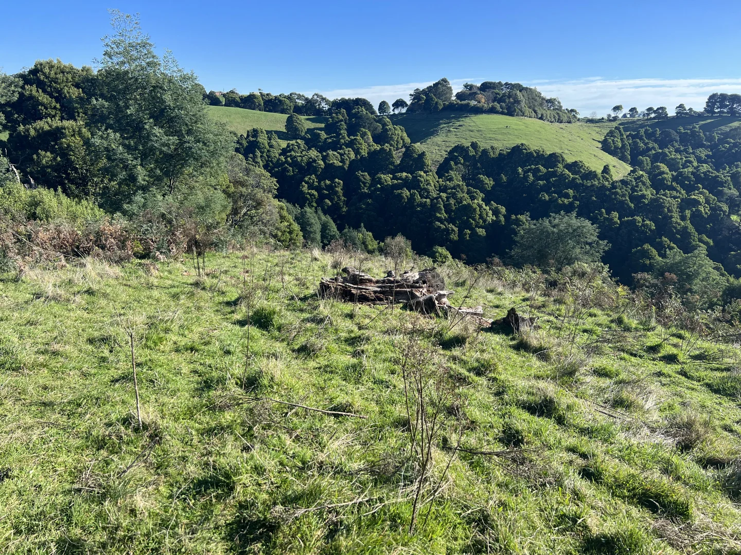 Additional image 8 of 478 Foster-Mirboo Road, Dollar VIC 3871