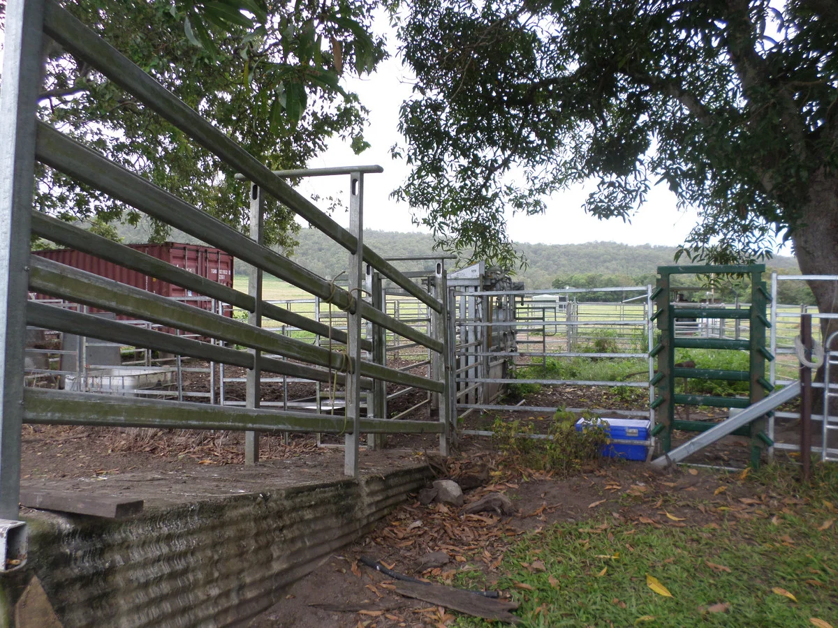 Additional image 10 of 109 Neilsen Omands Road, Septimus QLD 4754