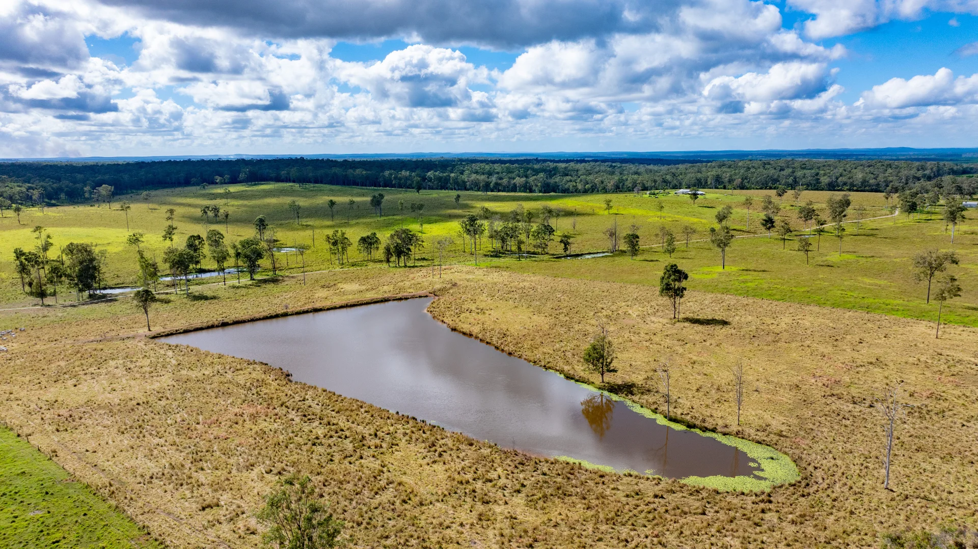 Additional image 24 of 667 Beckmanns Road, Glenwood QLD 4570