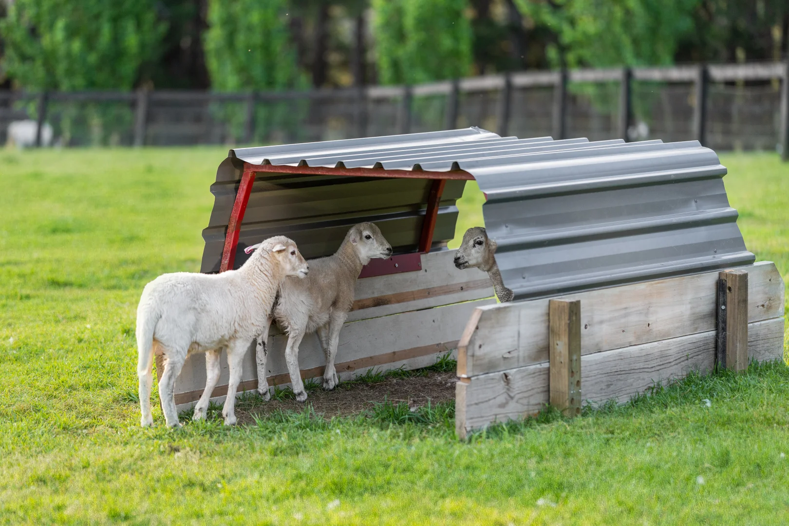 Additional image 25 of 581 Greenhills Road, Berrima NSW 2577