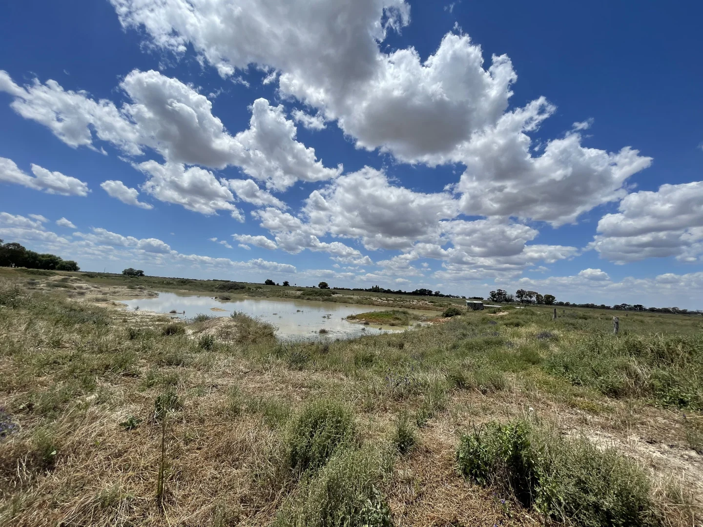 Additional image 17 of 'Yileen' 4371 Moulamein Road, Tullakool NSW 2732