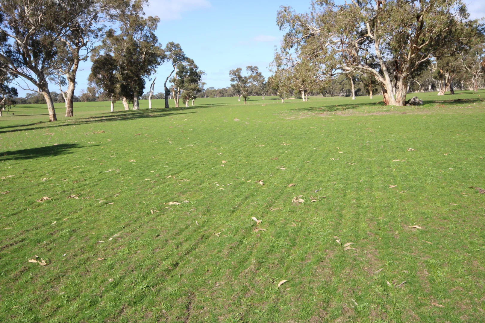 Additional image 27 of 202 Malones Road, Naracoorte SA 5271