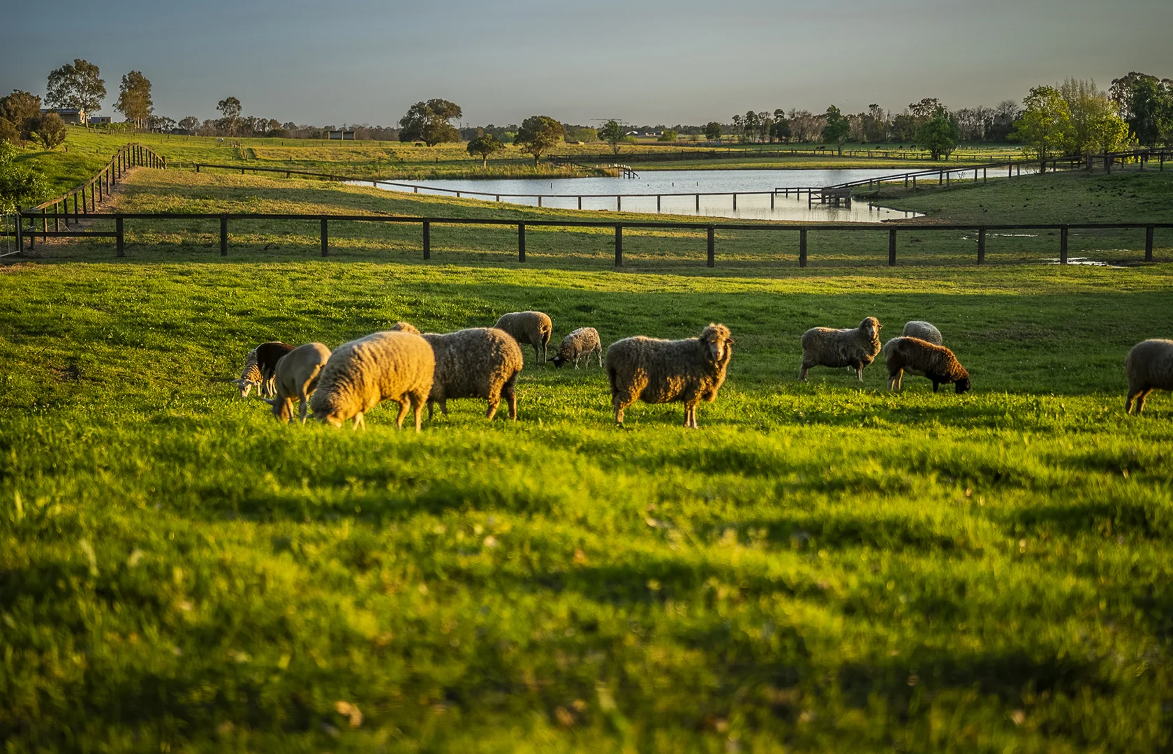 Additional image 3 of 134 Bathurst Street, Pitt Town NSW 2756