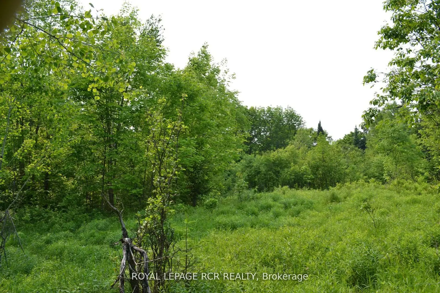 Additional image 8 of 1527 Madill Road