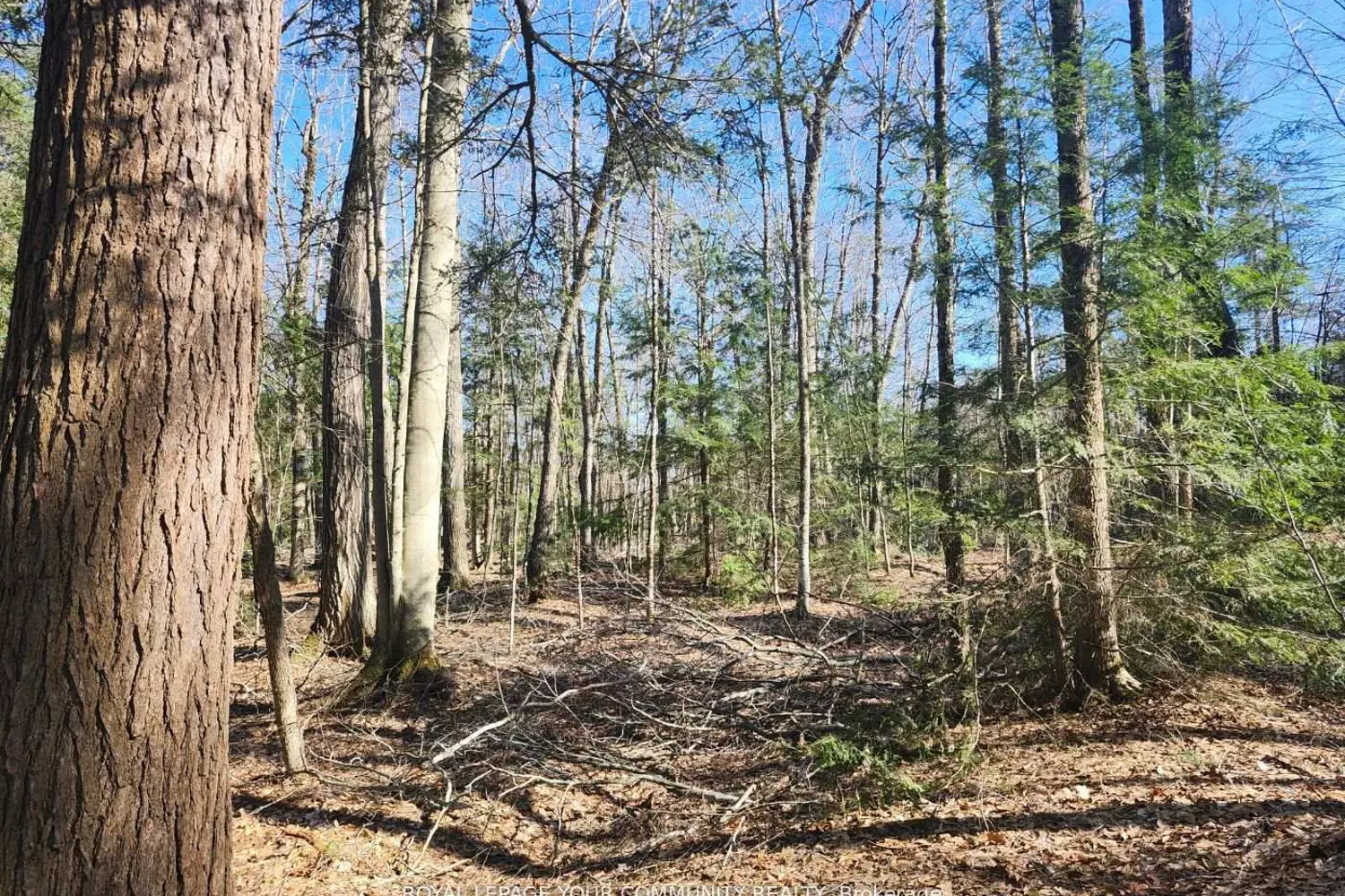 Additional image 9 of 1282 Highway 118 Road