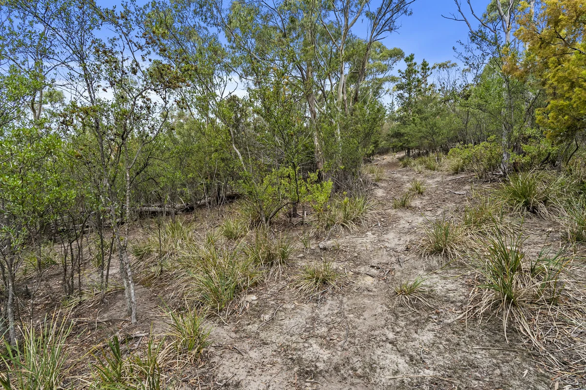 Additional image 20 of 20 Officer Street, Rosetta TAS 7010