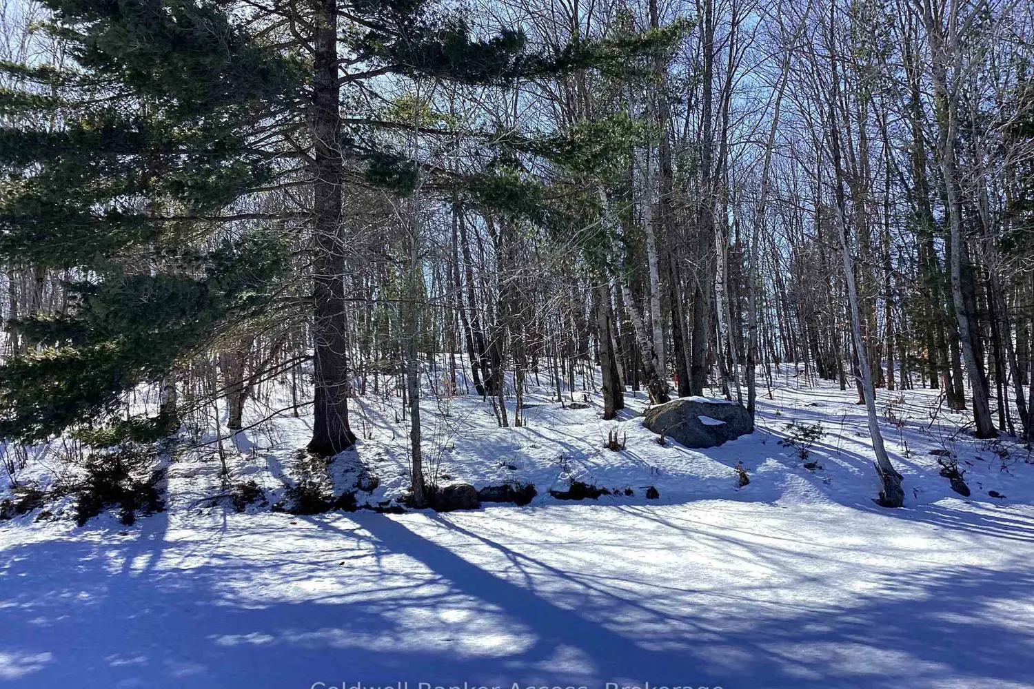 30 Hawkins Point Road