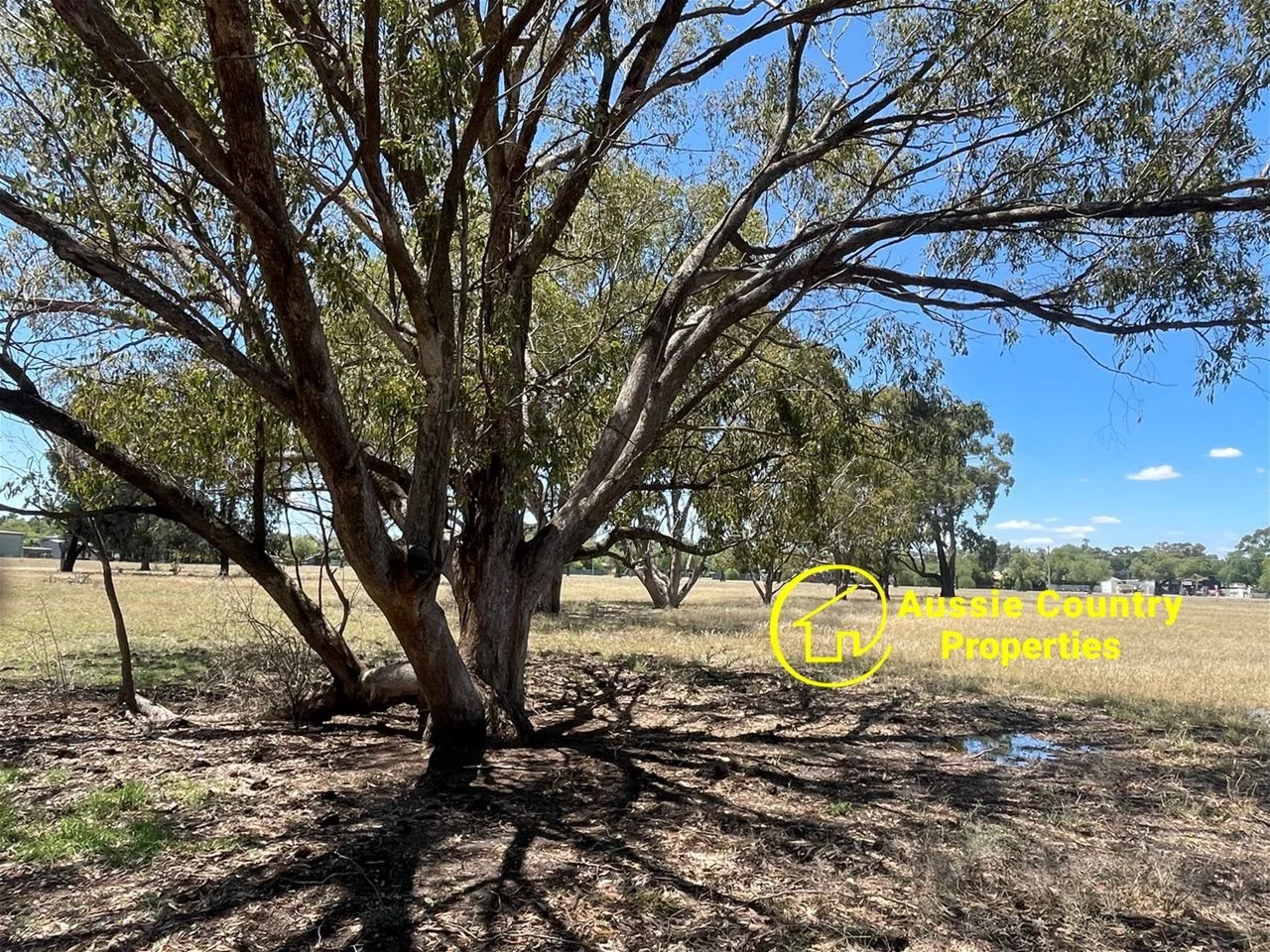 Additional image 10 of Lots 14 & 15 Jerilderie Street, Berrigan NSW 2712