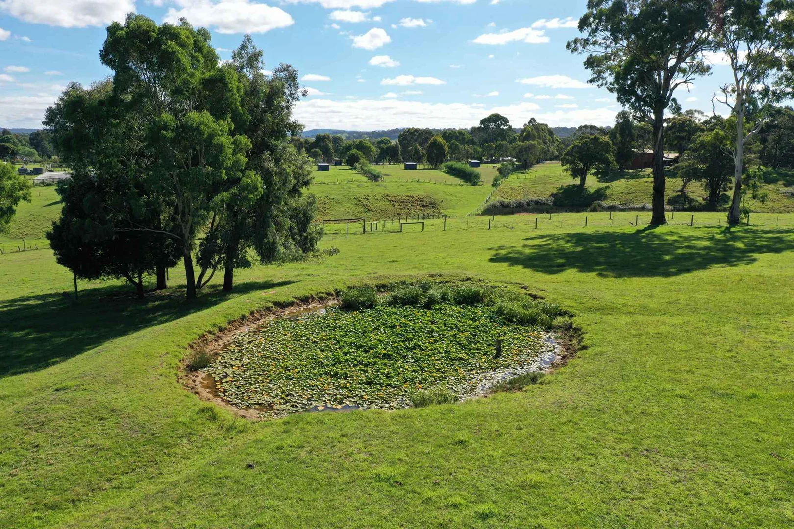 Additional image 32 of 1035 Princes Highway, Nicholson VIC 3882