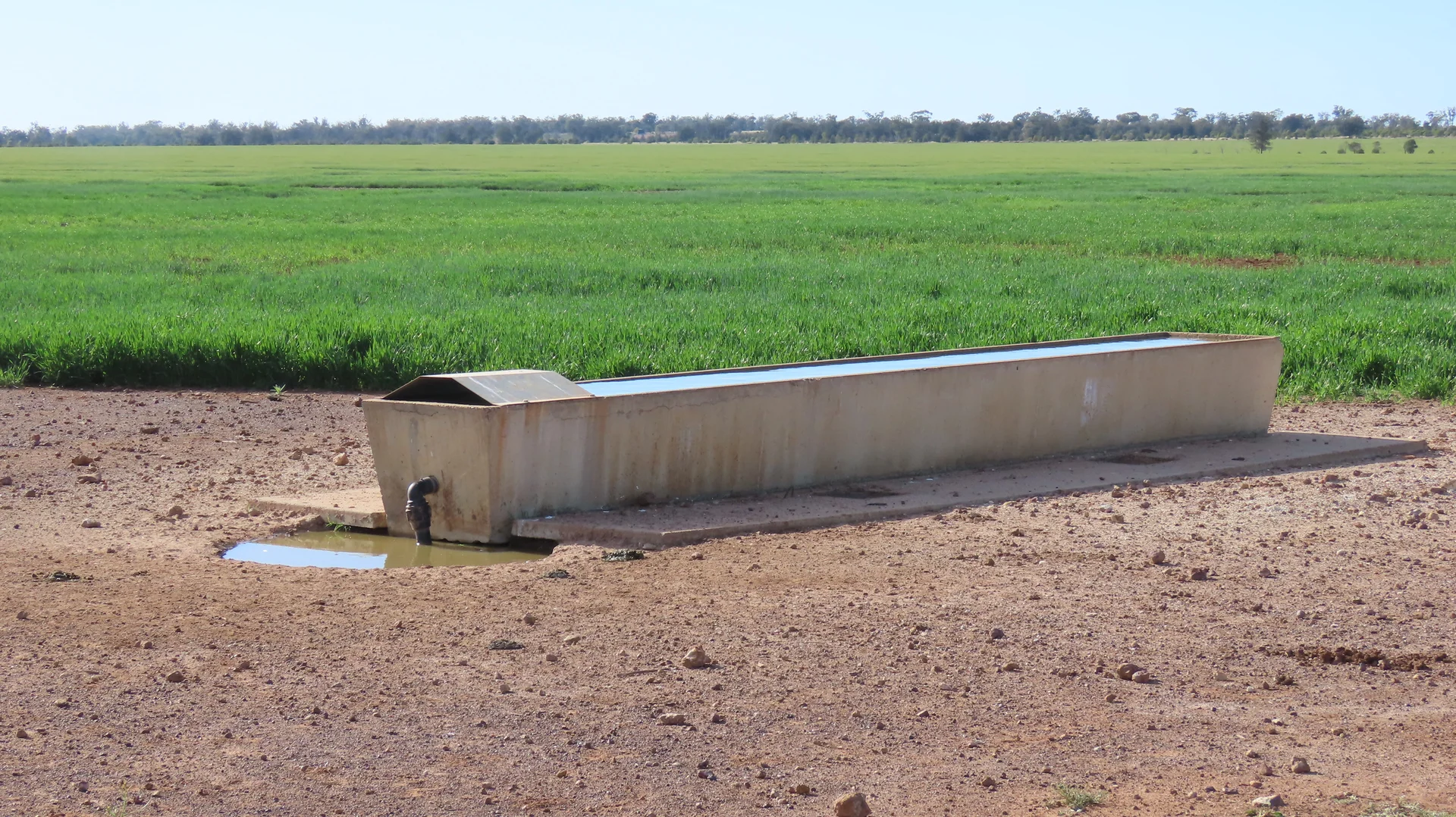 Additional image 11 of Mirreyah Feedlot Talwood Mungindi Road,, Talwood QLD 4496