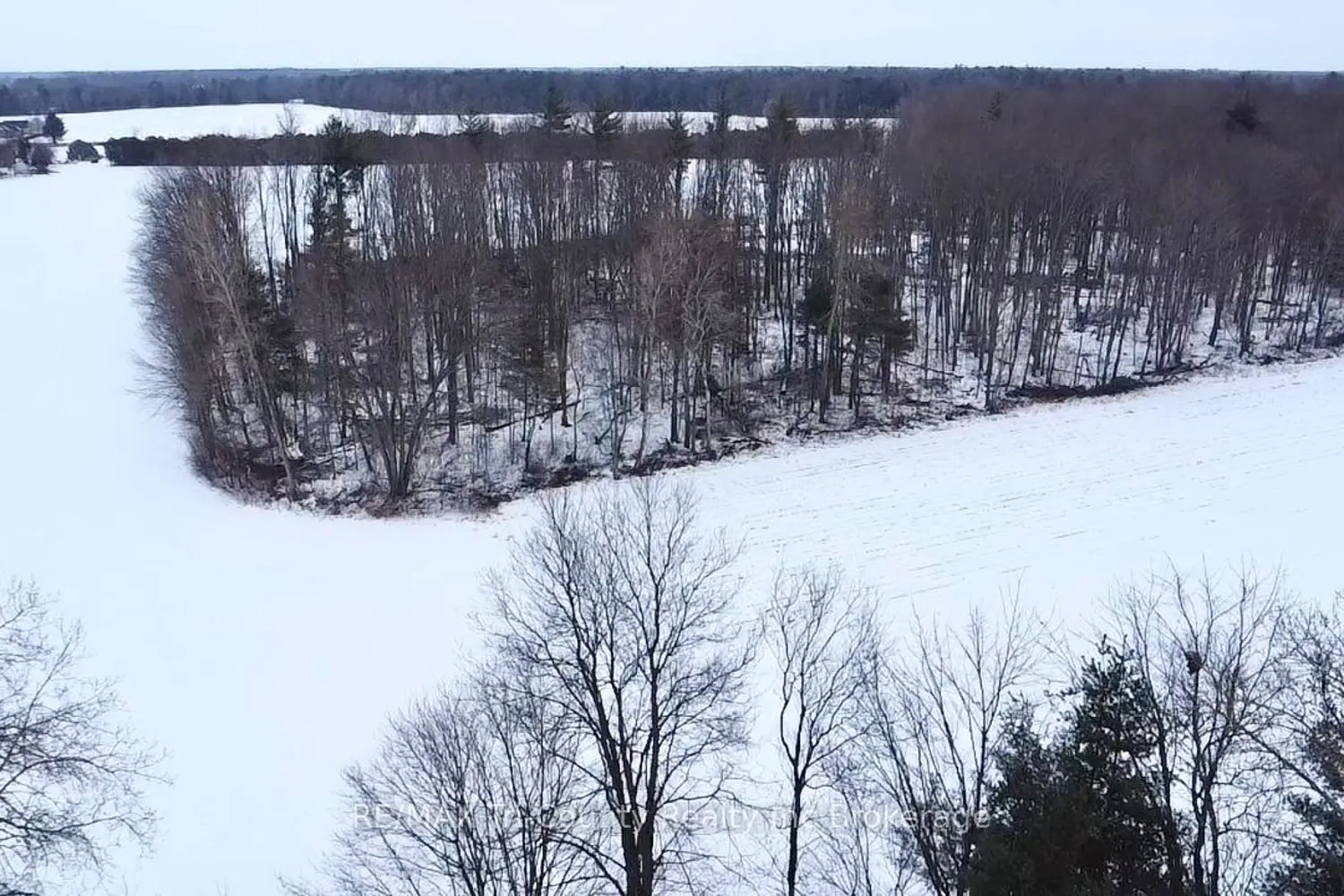 Additional image 13 of 1225 1St Concession Enr Road