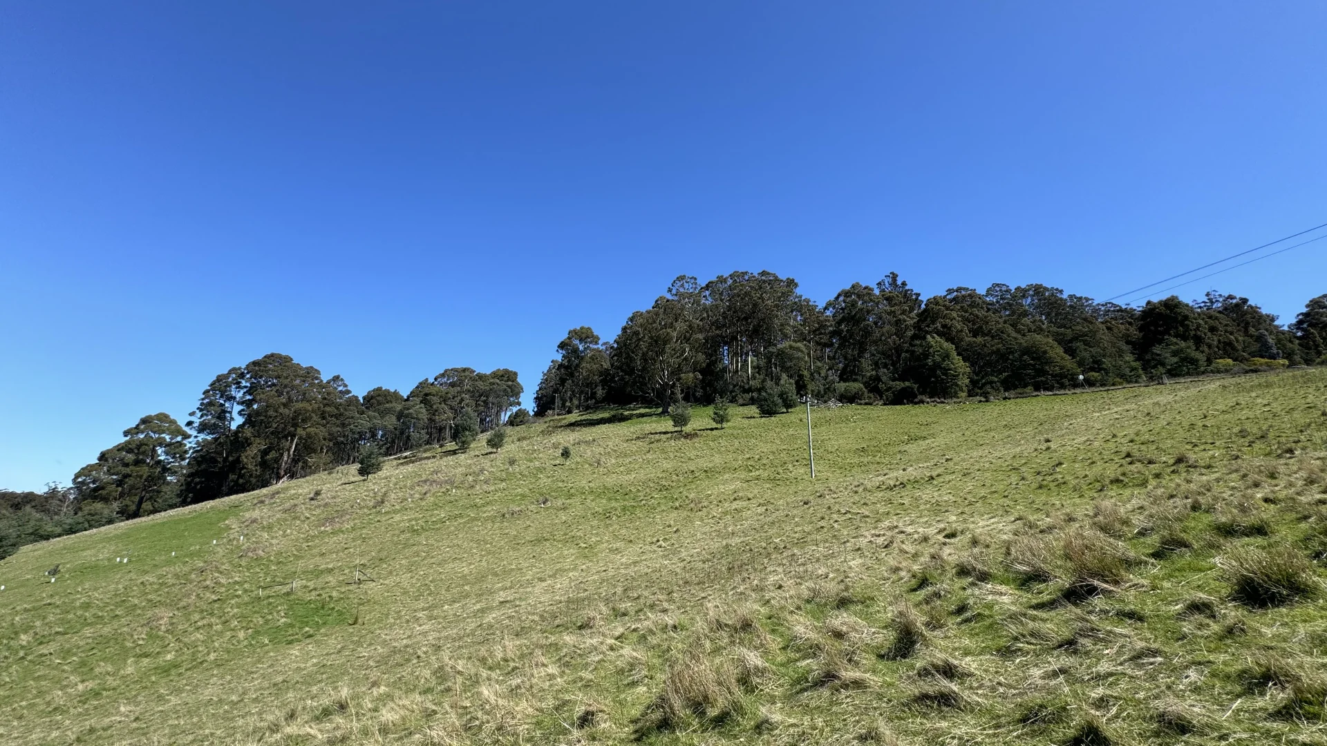 Additional image 24 of Lot 1 Walpole Lane, Franklin TAS 7113