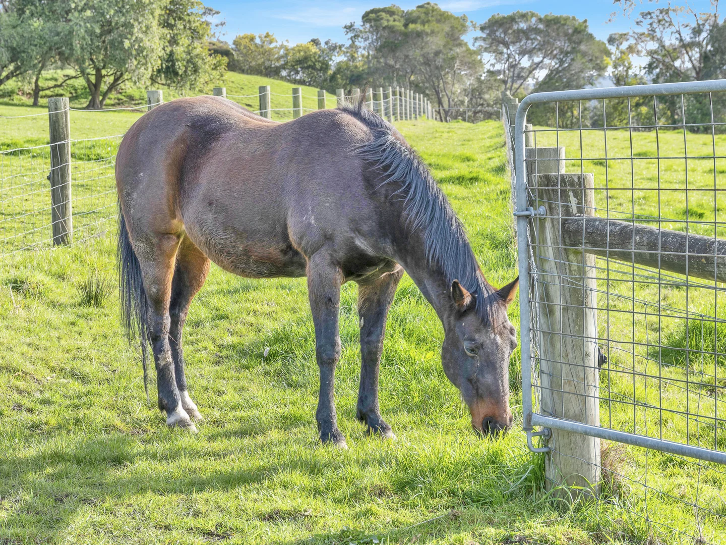 Additional image 19 of 140 Seymour Road, Nar Nar Goon VIC 3812