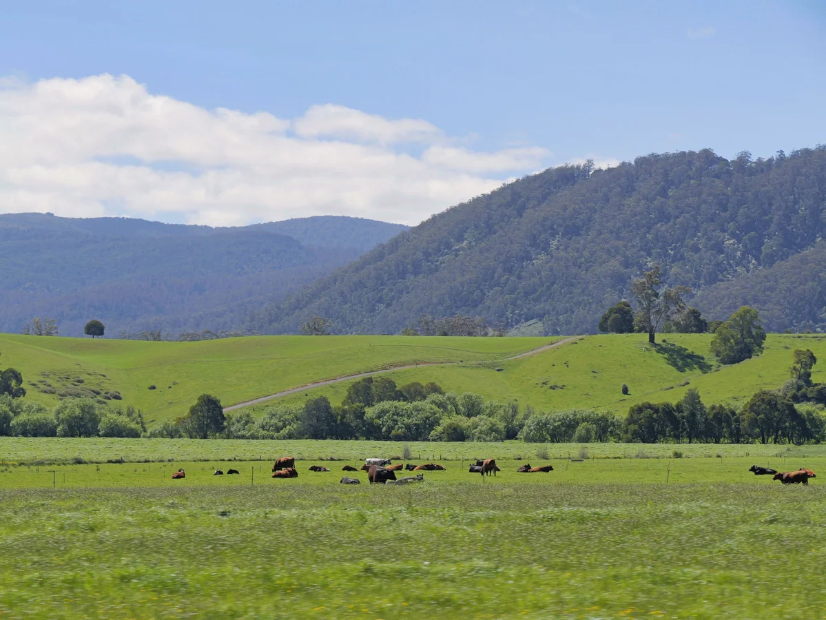 Additional image 2 of 569 St Columba Falls Road, Pyengana TAS 7216