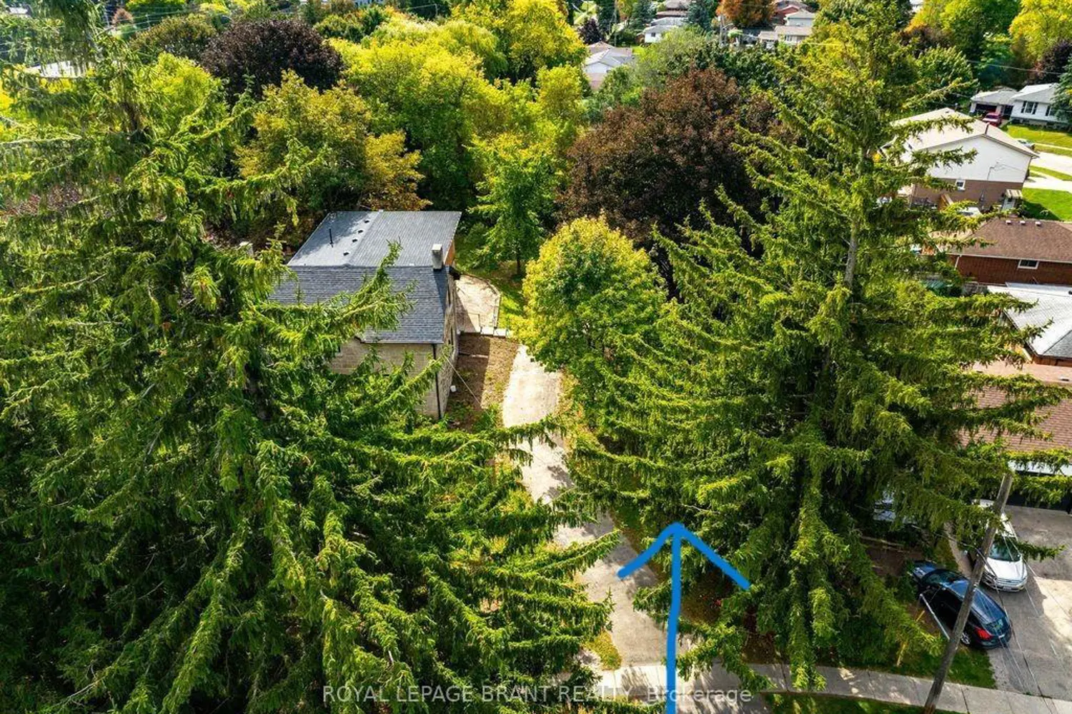 Additional image 10 of 33 Islington Avenue