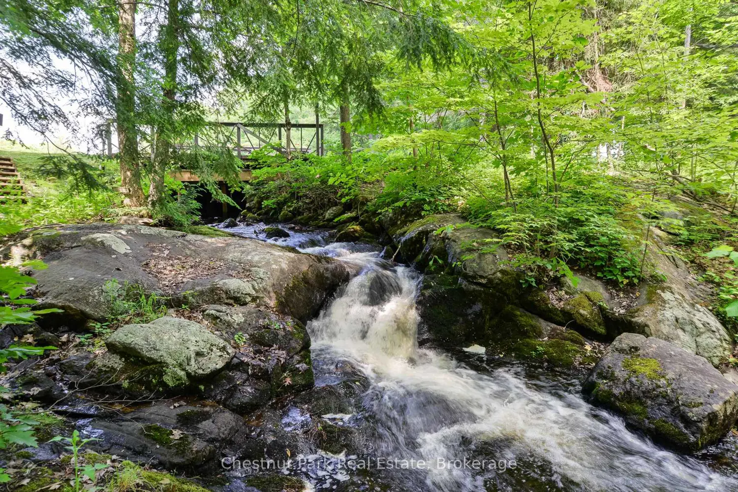 Additional image 14 of 848 & 1086 Clearwater Lake Rd & N. Deer Lake Road