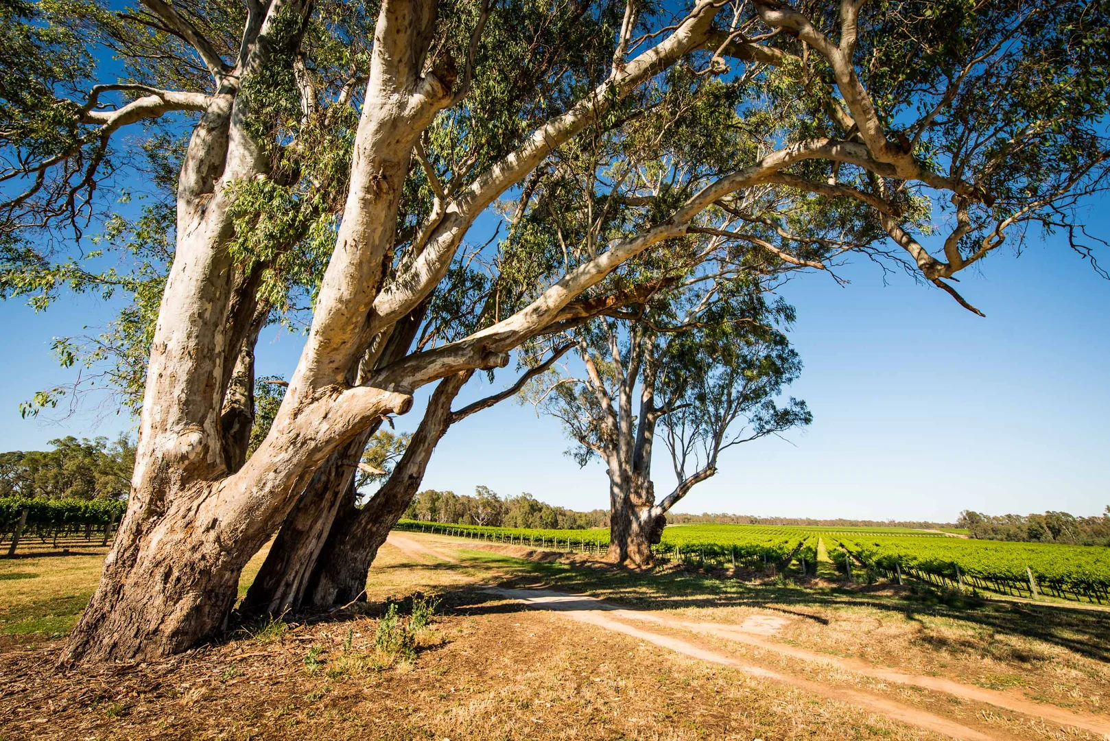 Additional image 4 of Nagambie VIC 3608