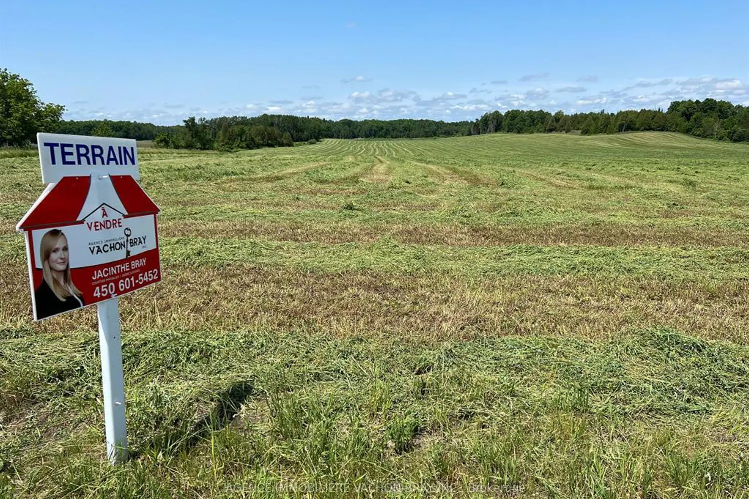 10 Concession 10 Concession