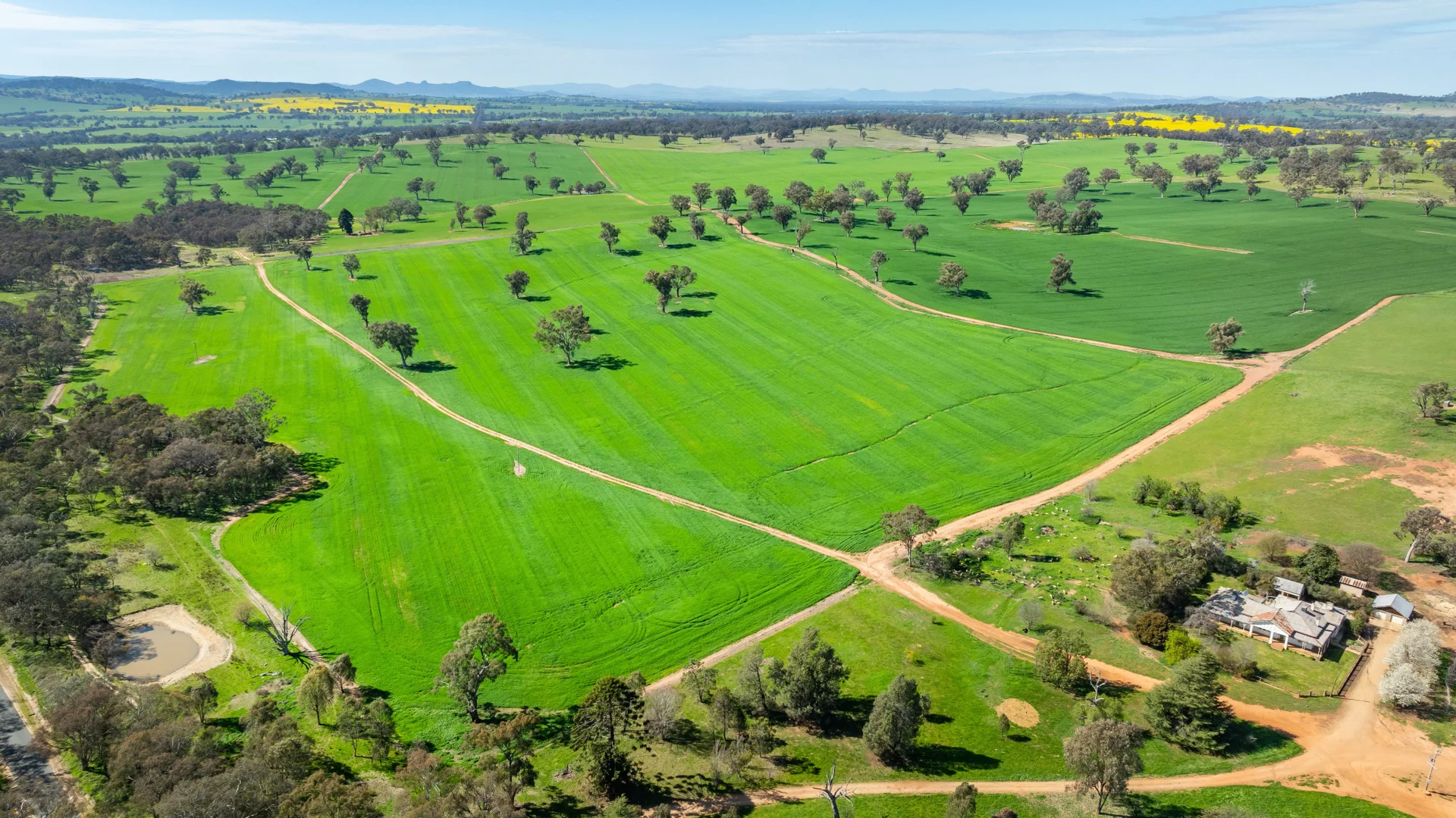 Additional image 21 of 1726 Howlong Burrumbuttock Road, Burrumbuttock NSW 2642