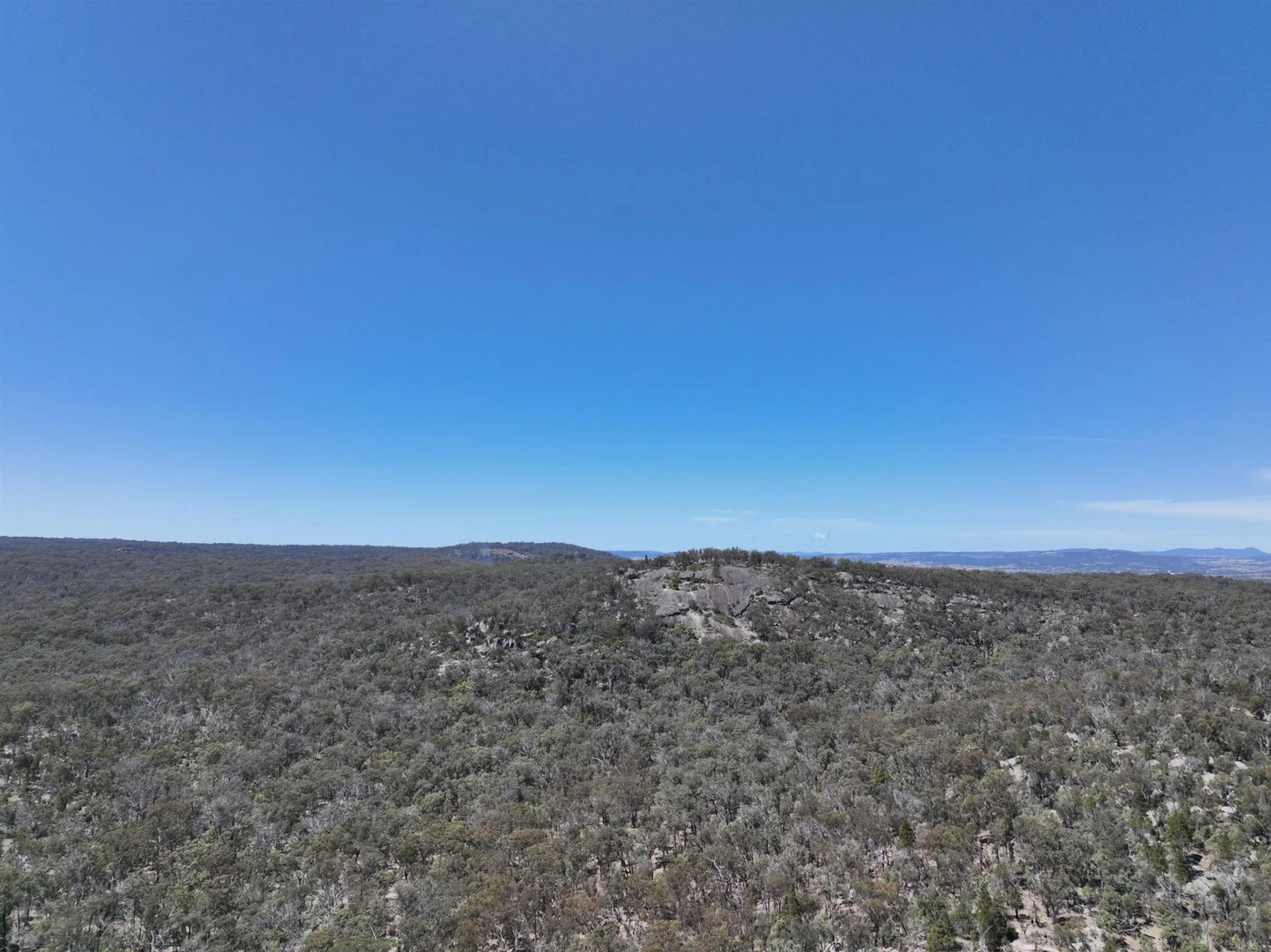 Additional image 2 of Lot 1 Brusharbers Road, Tenterfield NSW 2372