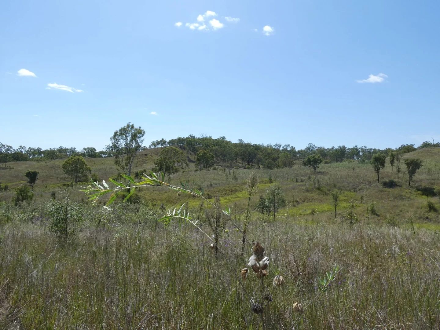 Additional image 4 of Lot 14 Monto Mount Perry Road, Mungy QLD 4671