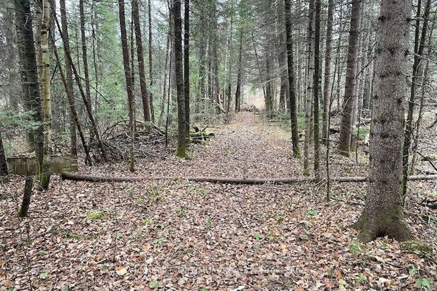 Additional image 8 of Pcl 7576 0