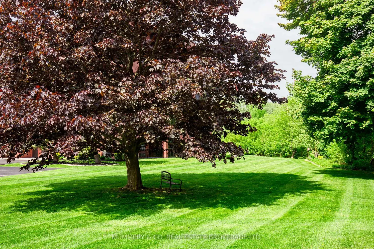 Additional image 19 of 5 Mill Pond Court 704