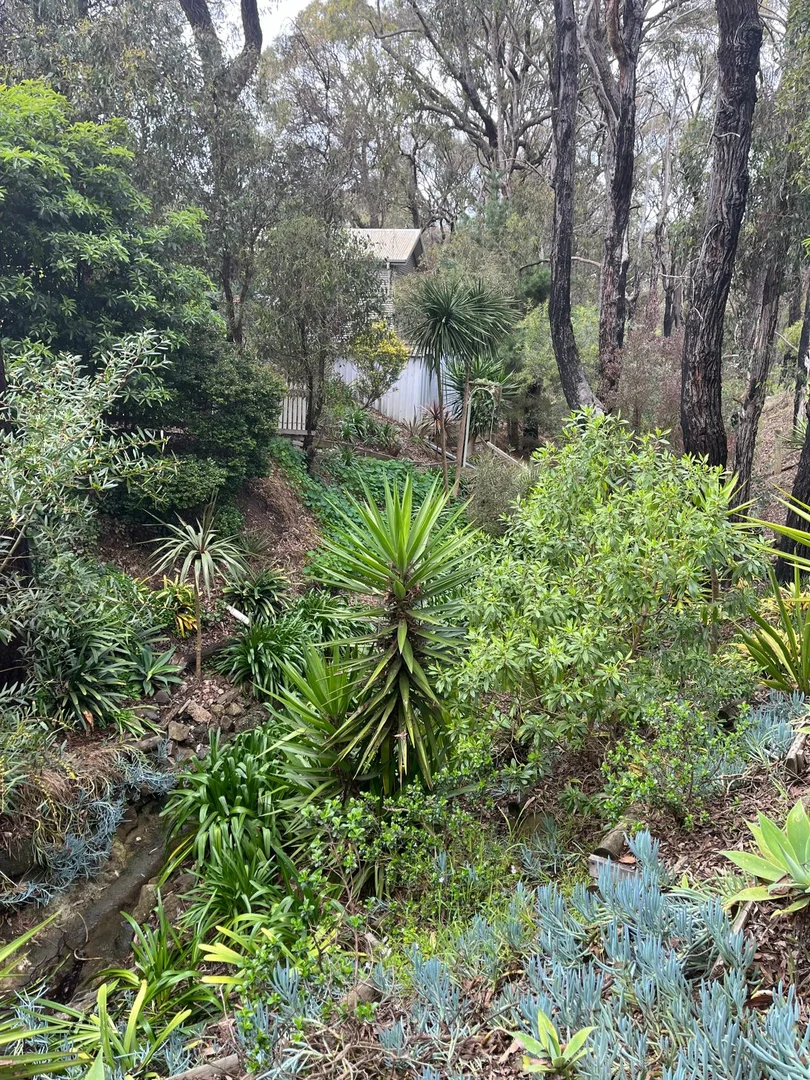 Additional image 18 of 7 - 9 Wright Street, Aireys Inlet VIC 3231