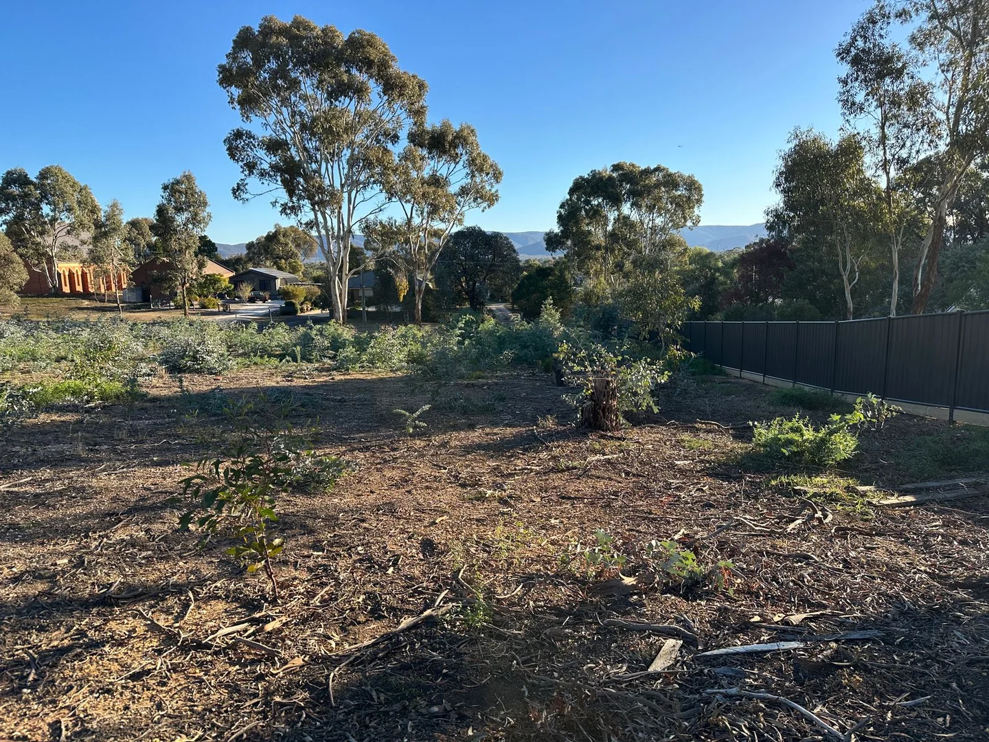 Additional image 6 of 52 Boyce Street, Avoca VIC 3467