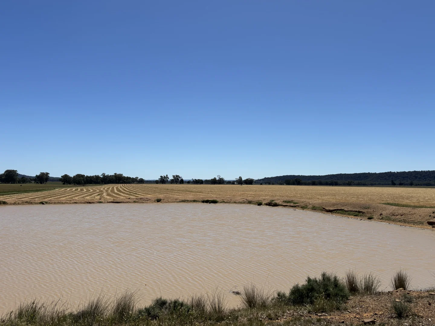 Additional image 22 of 2824 Neilrex Road, Coolah NSW 2843