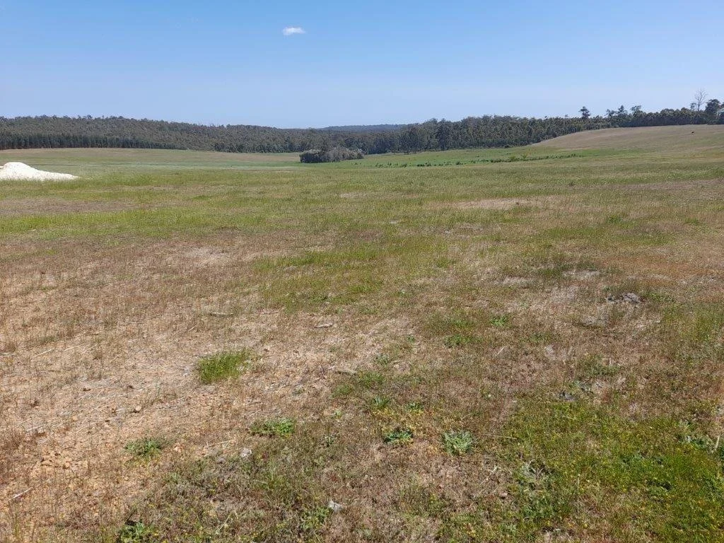 Additional image 6 of 228 Peppermint Grove Road, Middlesex WA 6258