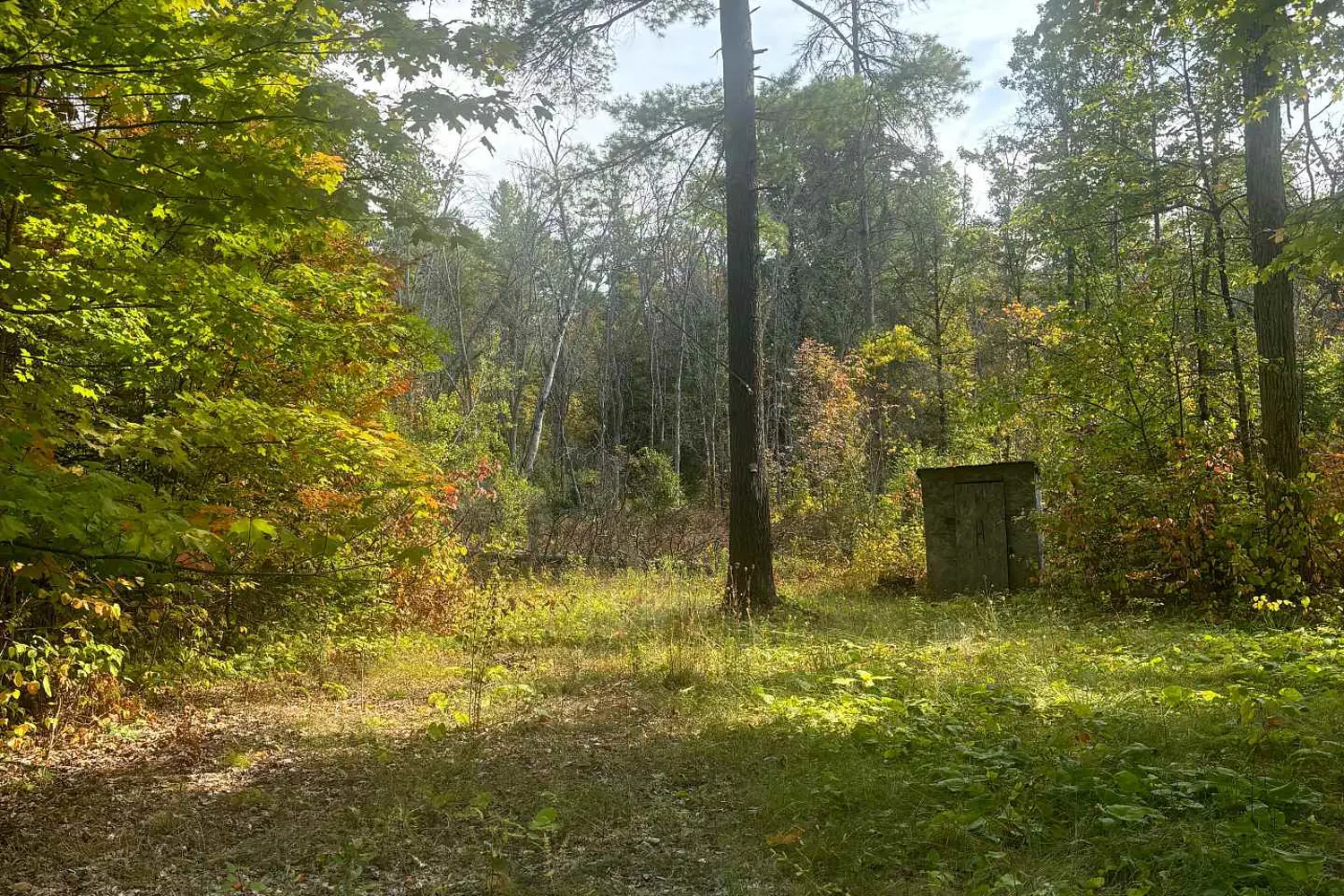 0 Pineview Court